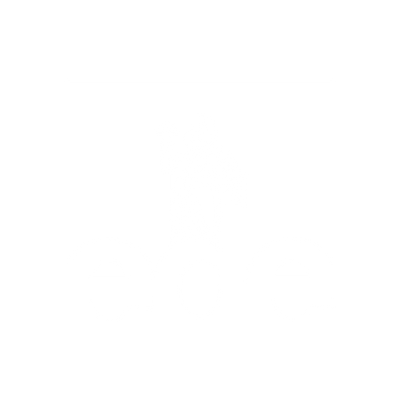 Customer Logo